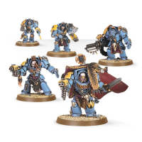 Wolf Guard Terminators