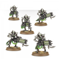 Necron Immortals