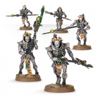 Necron Lychguard