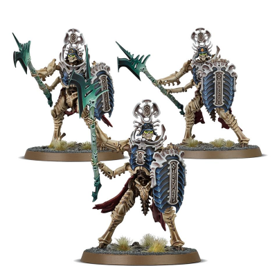 Immortis Guard